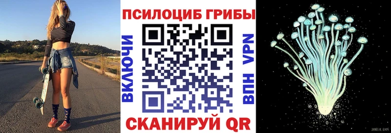мориарти телеграм  купить  цена  Нягань  Псилоцибиновые грибы Psilocybine cubensis 