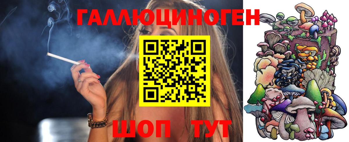 Галлюциногенные грибы Psilocybe Нягань
