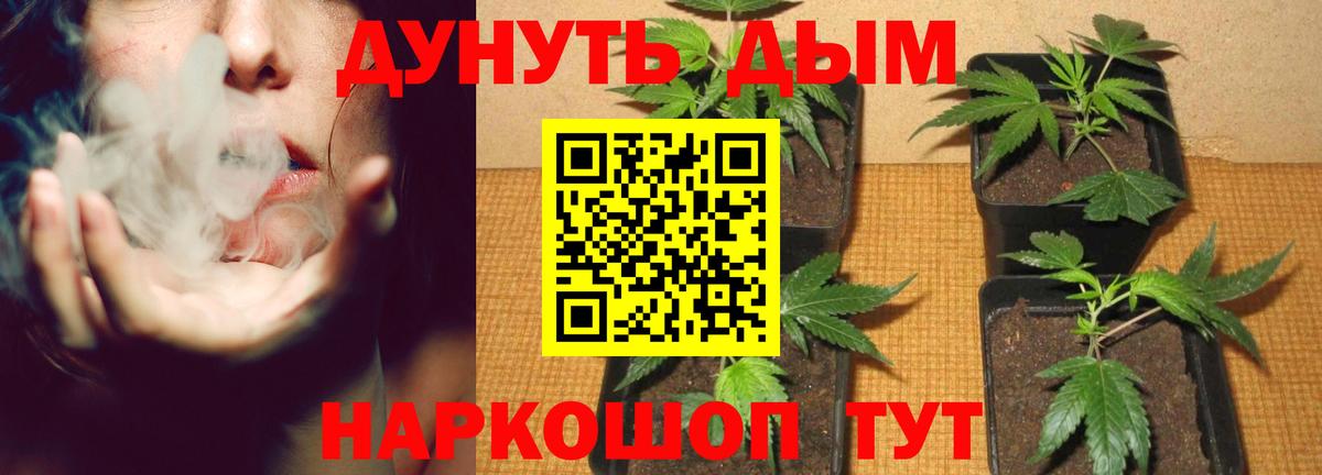 Нягань  Бошки Шишки индика  Конопля AK-47  Канабис конопля  Вход с VPN 